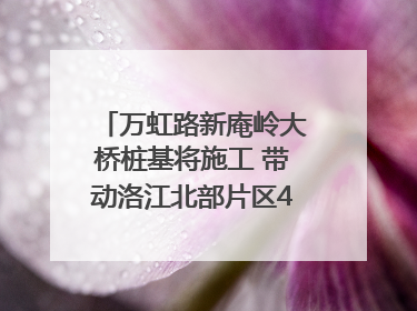 万虹路新庵岭大桥桩基将施工 带动洛江北部片区4个乡镇的发展