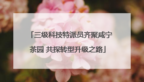 三级科技特派员齐聚咸宁茶园 共探转型升级之路