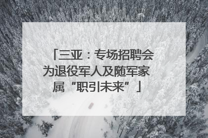 三亚：专场招聘会为退役军人及随军家属“职引未来”