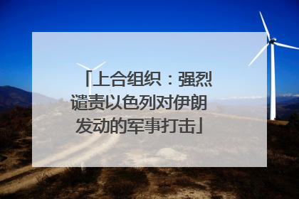 上合组织：强烈谴责以色列对伊朗发动的军事打击