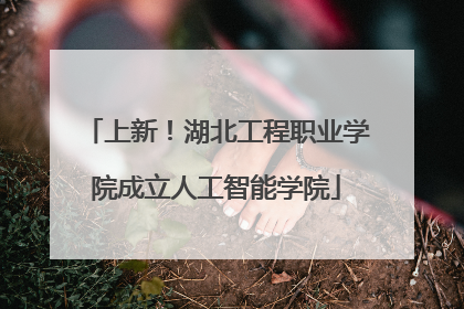 上新！湖北工程职业学院成立人工智能学院