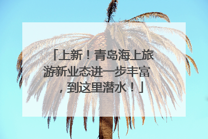 上新！青岛海上旅游新业态进一步丰富，到这里潜水！