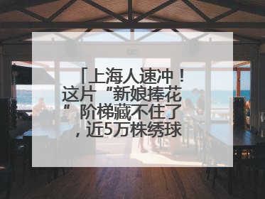 上海人速冲！这片“新娘捧花”阶梯藏不住了，近5万株绣球花如梦似幻