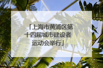 上海市黄浦区第十四届城市建设者运动会举行