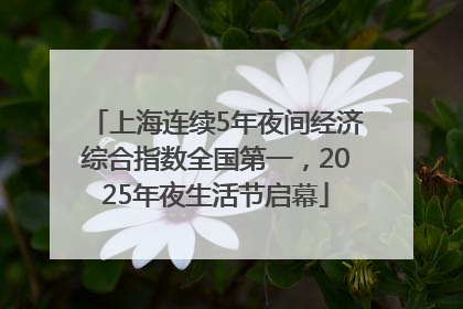 上海连续5年夜间经济综合指数全国第一，2025年夜生活节启幕