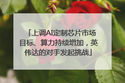 上调AI定制芯片市场目标、算力持续增加，英伟达的对手发起挑战