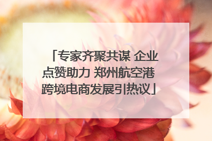 专家齐聚共谋 企业点赞助力 郑州航空港跨境电商发展引热议