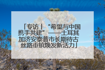 专访丨“希望与中国携手共建”——土耳其加济安泰普市长期待古丝路重镇焕发新活力