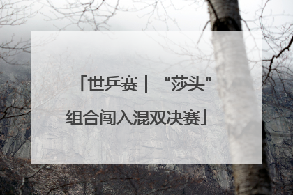 世乒赛｜“莎头”组合闯入混双决赛