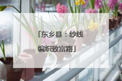 东乡县：纱线编织致富路