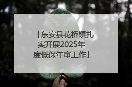 东安县花桥镇扎实开展2025年度低保年审工作