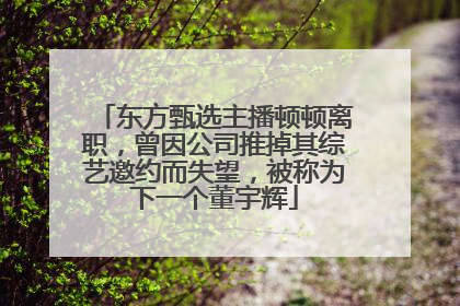 东方甄选主播顿顿离职，曾因公司推掉其综艺邀约而失望，被称为下一个董宇辉