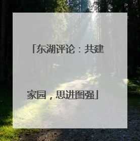 东湖评论：共建家园，思进图强