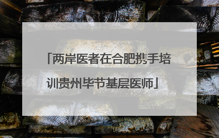 两岸医者在合肥携手培训贵州毕节基层医师