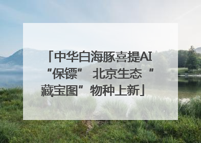 中华白海豚喜提AI“保镖” 北京生态“藏宝图”物种上新