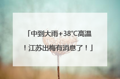 中到大雨+38℃高温！江苏出梅有消息了！