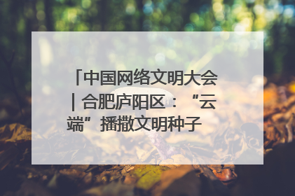 中国网络文明大会｜合肥庐阳区：“云端”播撒文明种子 共建清朗网络空间