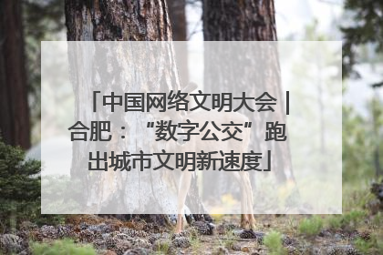 中国网络文明大会｜合肥：“数字公交”跑出城市文明新速度