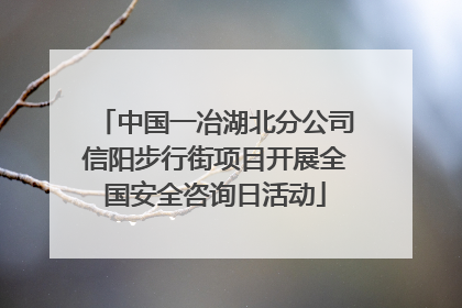 中国一冶湖北分公司信阳步行街项目开展全国安全咨询日活动