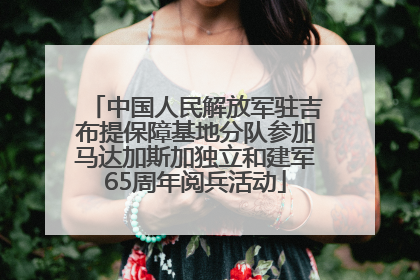 中国人民解放军驻吉布提保障基地分队参加马达加斯加独立和建军65周年阅兵活动