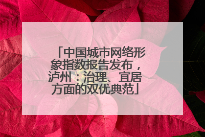 中国城市网络形象指数报告发布，泸州：治理、宜居方面的双优典范