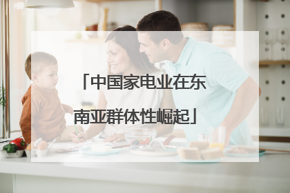 中国家电业在东南亚群体性崛起