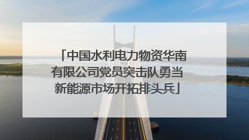 中国水利电力物资华南有限公司党员突击队勇当新能源市场开拓排头兵
