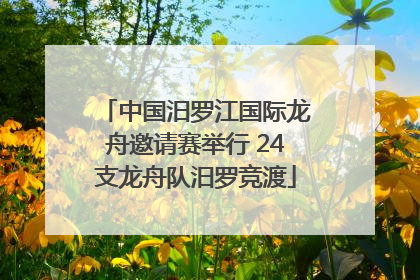 中国汨罗江国际龙舟邀请赛举行 24支龙舟队汨罗竞渡