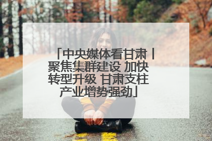 中央媒体看甘肃丨聚焦集群建设 加快转型升级 甘肃支柱产业增势强劲
