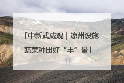 中新武威观｜凉州设施蔬菜种出好“丰”景