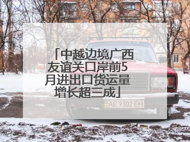 中越边境广西友谊关口岸前5月进出口货运量增长超三成