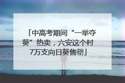 中高考期间“一举夺葵”热卖，六安这个村7万支向日葵售罄