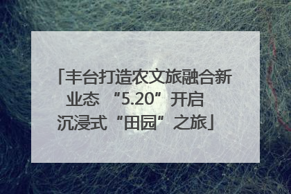 丰台打造农文旅融合新业态 “5.20”开启沉浸式“田园”之旅