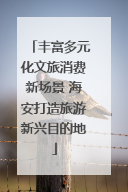 丰富多元化文旅消费新场景 海安打造旅游新兴目的地