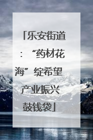 乐安街道：“药材花海”绽希望 产业振兴鼓钱袋