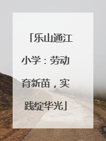 乐山通江小学：劳动育新苗，实践绽华光