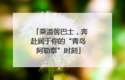 乘温馨巴士，奔赴属于你的“青岛阿勒泰”时刻