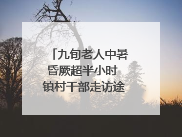 九旬老人中暑昏厥超半小时 镇村干部走访途中发现及时施救｜看见正能量