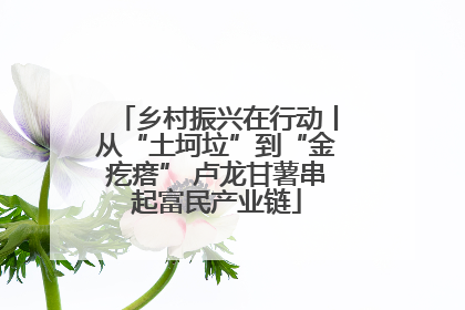 乡村振兴在行动丨从“土坷垃”到“金疙瘩” 卢龙甘薯串起富民产业链