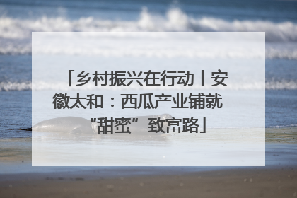 乡村振兴在行动丨安徽太和：西瓜产业铺就“甜蜜”致富路