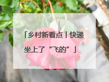 乡村新看点丨快递坐上了“飞的”
