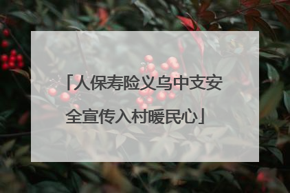 人保寿险义乌中支安全宣传入村暖民心