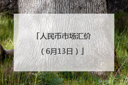 人民币市场汇价（6月13日）