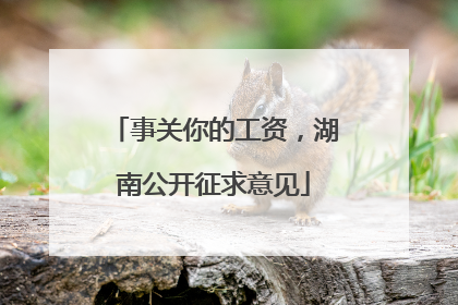 事关你的工资，湖南公开征求意见