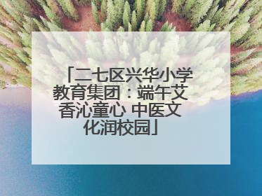 二七区兴华小学教育集团：端午艾香沁童心 中医文化润校园