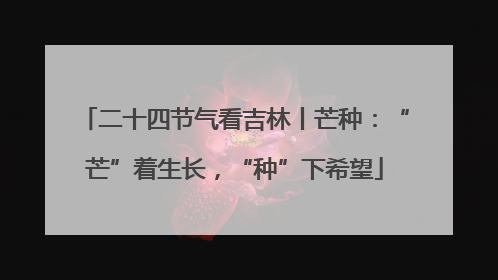 二十四节气看吉林丨芒种：“芒”着生长，“种”下希望