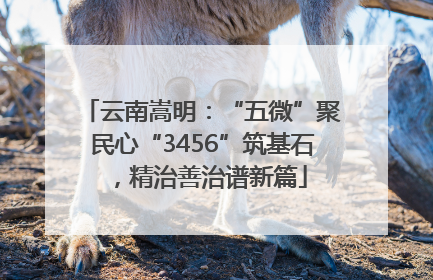 云南嵩明：“五微”聚民心“3456”筑基石，精治善治谱新篇
