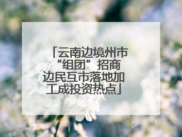 云南边境州市“组团”招商 边民互市落地加工成投资热点