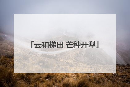 云和梯田 芒种开犁