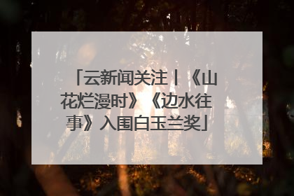云新闻关注丨《山花烂漫时》《边水往事》入围白玉兰奖
